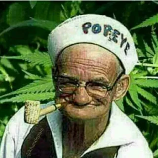 😎