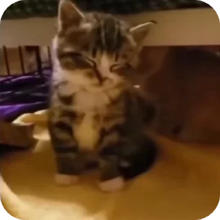 😵‍💫