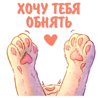 🙌