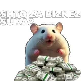 🐹