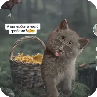 👍