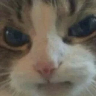 😑