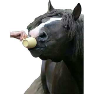 ☕️