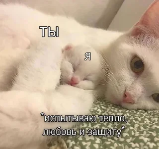🥰