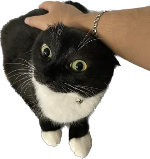 😮