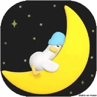 🌙
