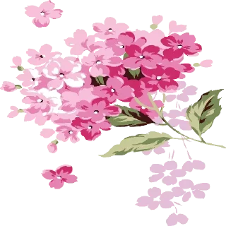 🌸