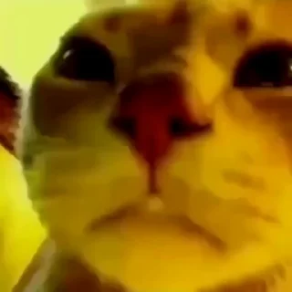 😐