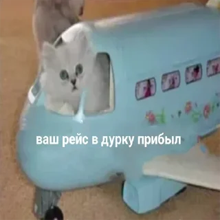 🤨