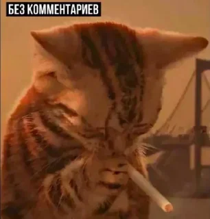 🚬