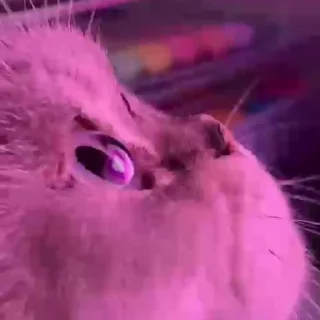 💗