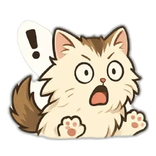 🐱