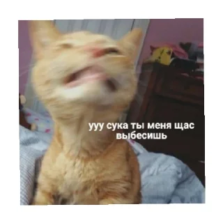 🤬