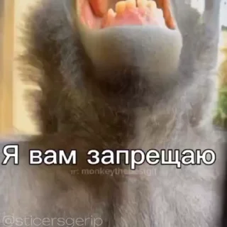 😡