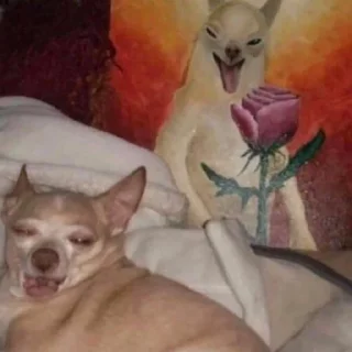 😱