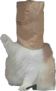 🤚