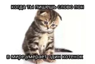 😢