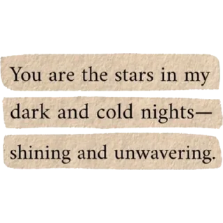 🌟