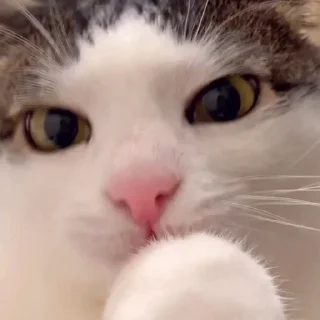 😛