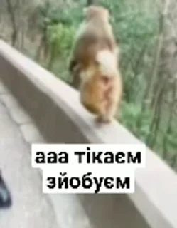 🏃
