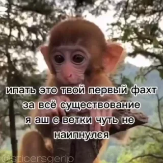 😂