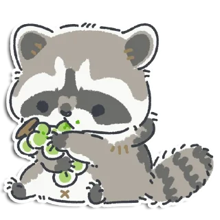 🦝