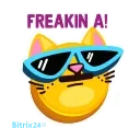 😎