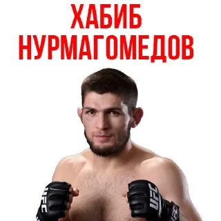 🥇Khabib Nurmagomedov @stickersb2b