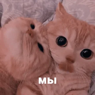 ❤