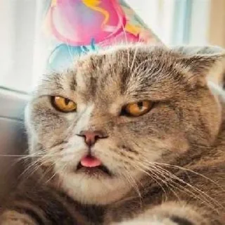 🥳