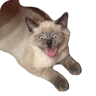 🫥