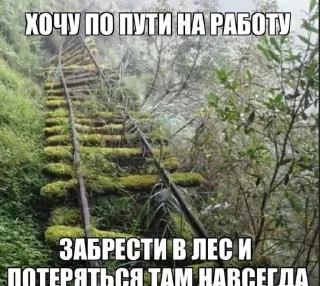 🌲