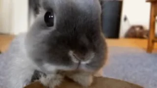 🧍‍♀️
