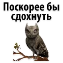 😊