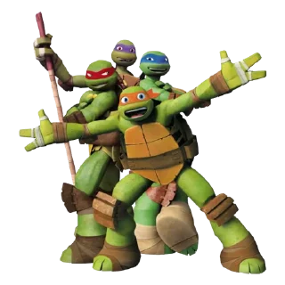 🐢