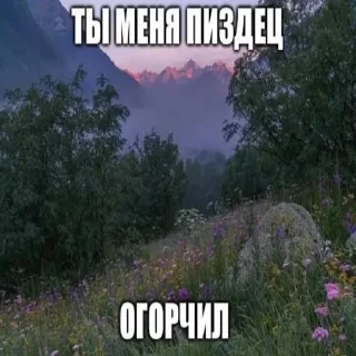 👎