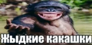 🐵