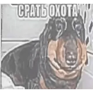 ☺️