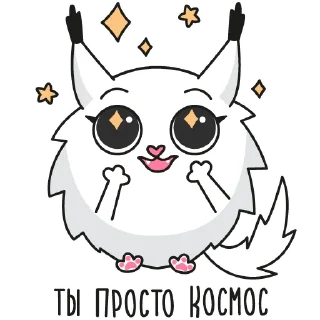 ✨