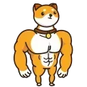 💪