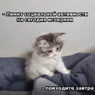 🥱