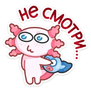 🙈