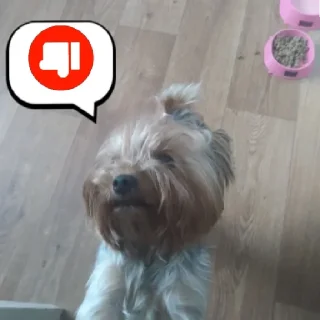 👎