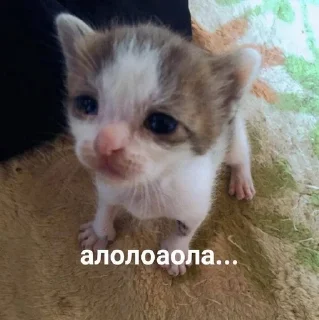 😕