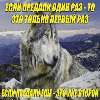 😢