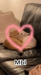 ❤