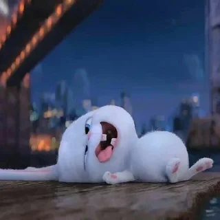 🐰