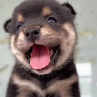 😋