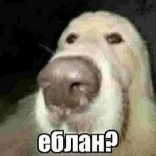 ❓