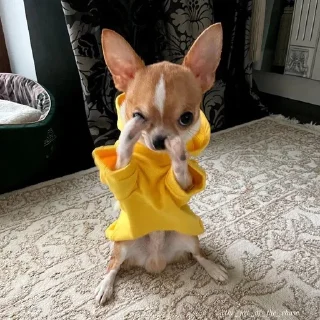 👊